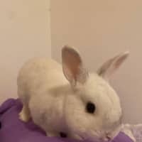 Photo of Fallon And Anders