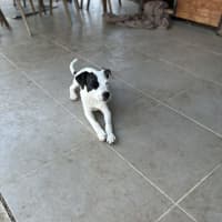 Photo of Gerald