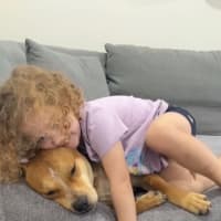 Photo of Koda