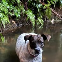 Photo of Billie Jean