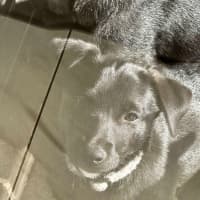Photo of Austin