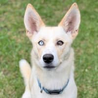 Photo of Sugar