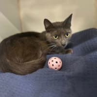 Photo of Elvira