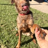 Photo of Rubie