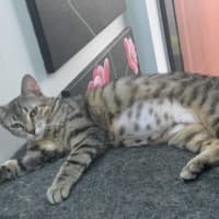 Photo of Ellie (Eleanor)