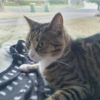 Photo of Miguel / Sarah