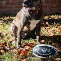 Photo of Benny Lozano