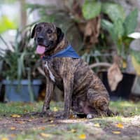 Photo of Jaxx
