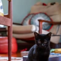 Photo of Ink