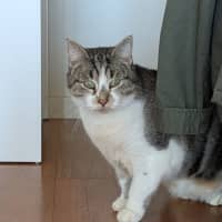 Photo of Maru