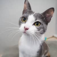 Photo of Dawne