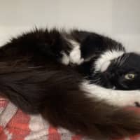 Photo of Gunter