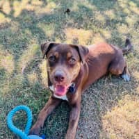 Photo of Bingo Ellie