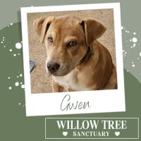 Photo of Gwen
