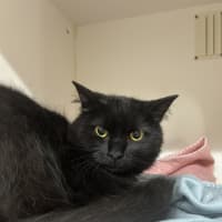 Photo of Turbo