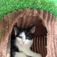 Photo of Salt & Pepper