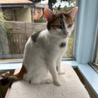 Photo of Millie