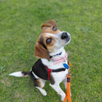 Photo of Lola