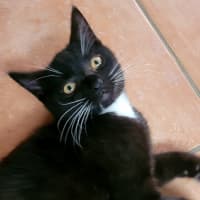 Photo of 💕 Chandler Bing 💕