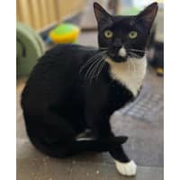 Photo of 12355   Snoop