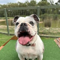 Photo of Sally