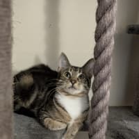Photo of Little Man