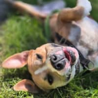Photo of Kimber
