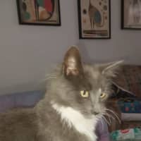 Photo of Greyson 💙