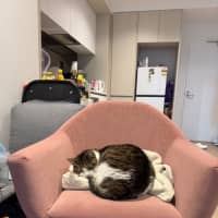Photo of Vivian