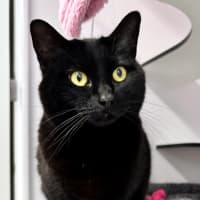 Photo of Mimi Rsta011476