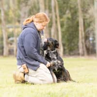Photo of Freya