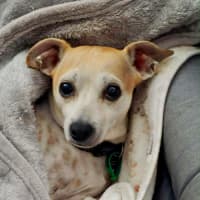 Photo of Sam