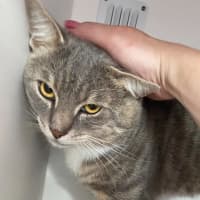 Photo of David (9185)