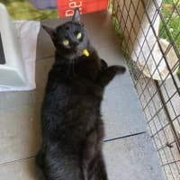 Photo of Luca & Smudge