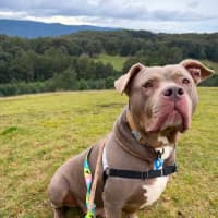 Photo of Storm