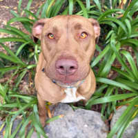 Photo of Missy