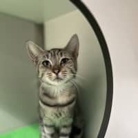 Photo of Pipi