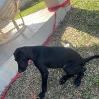 Photo of Lexi