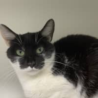 Photo of Annabelle