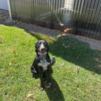 Photo of Betty