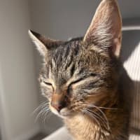 Photo of Toni
