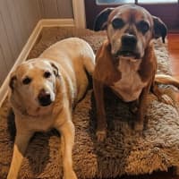 Photo of Riley And Lola