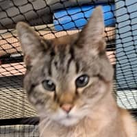 Photo of Max