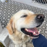 Photo of Digger