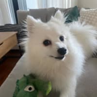 Photo of Saidee