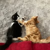 Photo of Gretel Moriarty