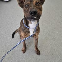 Photo of Toohey! 🍻