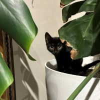 Photo of Hera