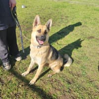 Photo of Diana (66288)