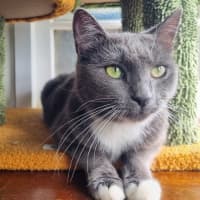 Photo of Phrada 🌒